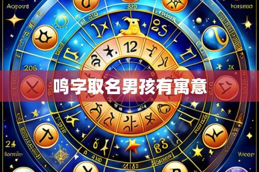 鸣字取名男孩有寓意