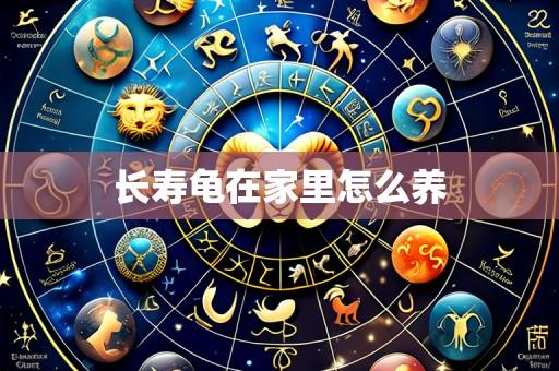长寿龟在家里怎么养