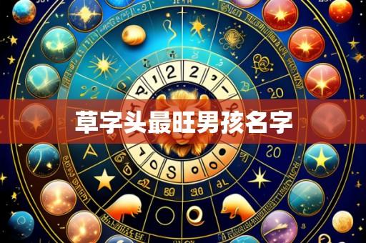 草字头最旺男孩名字