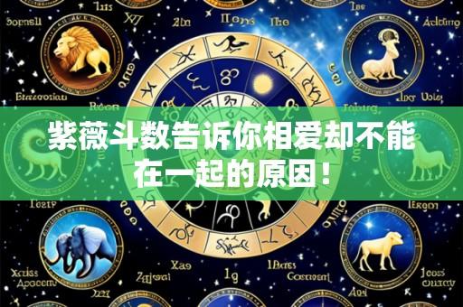 紫薇斗数告诉你相爱却不能在一起的原因!