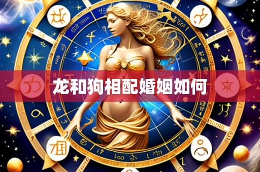 龙和狗相配婚姻如何