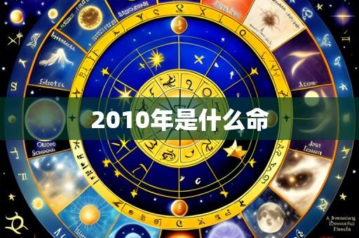 2010年是什么命