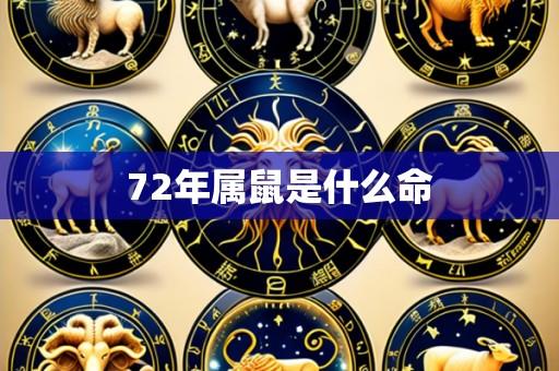 72年属鼠是什么命