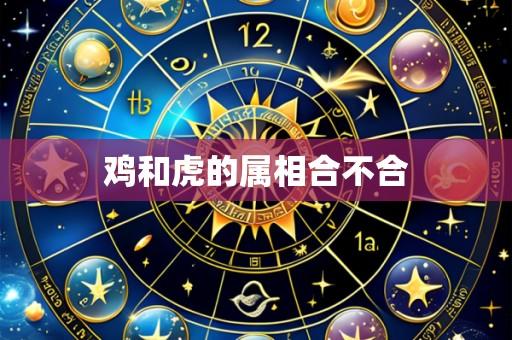 鸡和虎的属相合不合