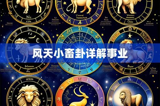 风天小畜卦详解事业