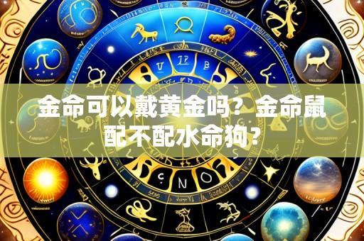 金命可以戴黄金吗?金命鼠配不配水命狗?