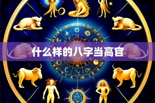 什么样的八字当高官
