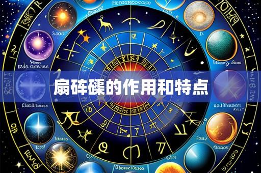 扇砗磲的作用和特点