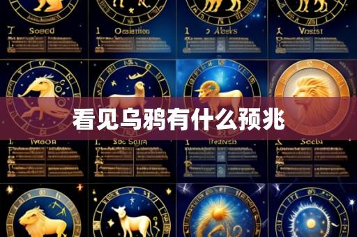 看见乌鸦有什么预兆