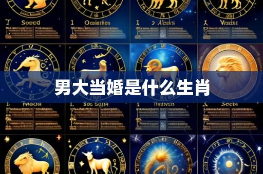 男大当婚是什么生肖