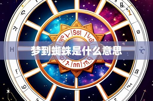 梦到蜘蛛是什么意思