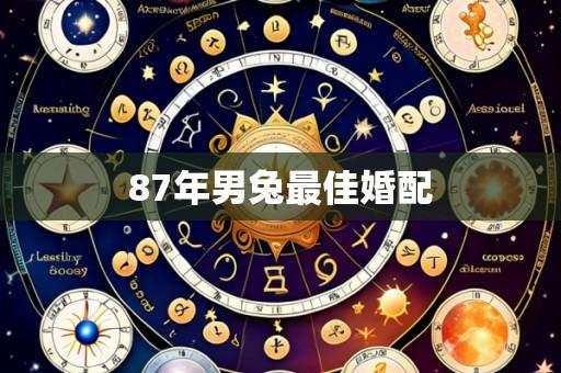 87年男兔最佳婚配