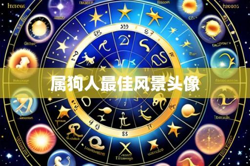 属狗人最佳风景头像