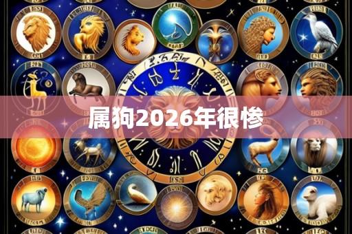 属狗2026年很惨