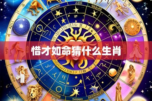 惜才如命猜什么生肖