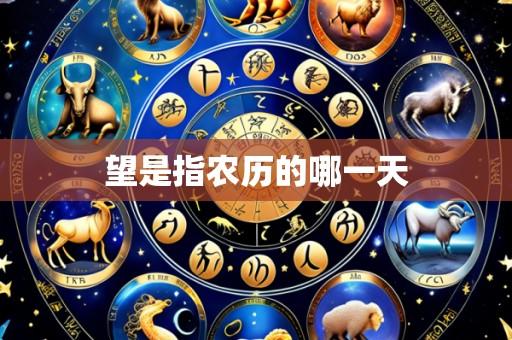 望是指农历的哪一天