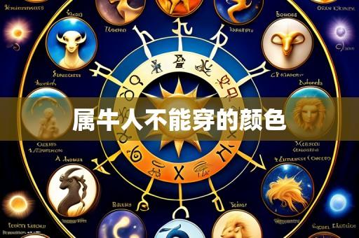 属牛人不能穿的颜色