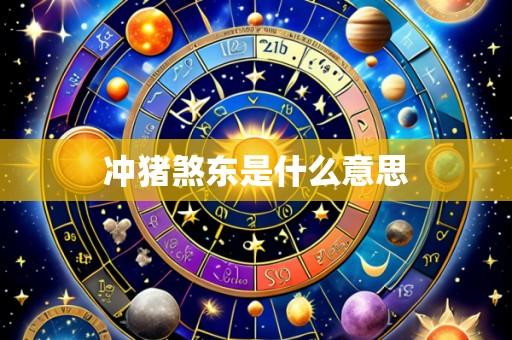 冲猪煞东是什么意思