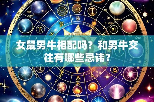 女鼠男牛相配吗?和男牛交往有哪些忌讳?
