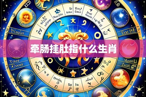 牵肠挂肚指什么生肖