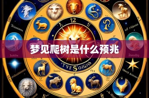 梦见爬树是什么预兆