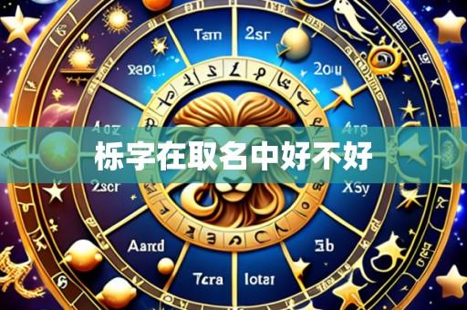 栎字在取名中好不好