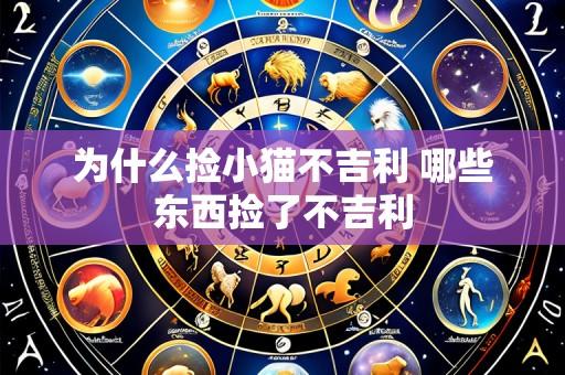 为什么捡小猫不吉利 哪些东西捡了不吉利