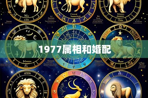 1977属相和婚配