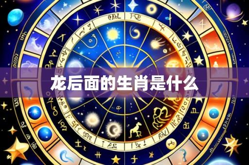 龙后面的生肖是什么