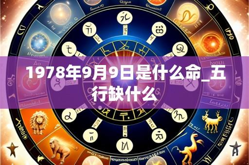 1978年9月9日是什么命_五行缺什么