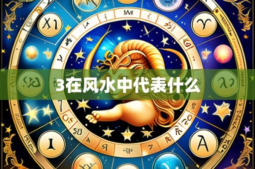 3在风水中代表什么