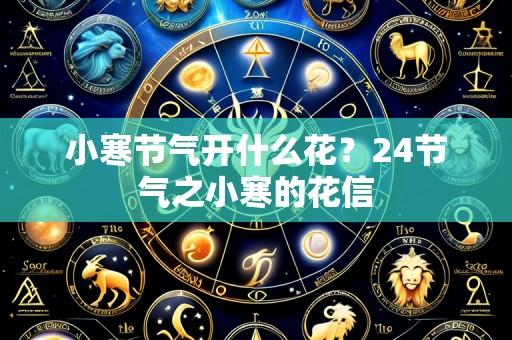 小寒节气开什么花?24节气之小寒的花信