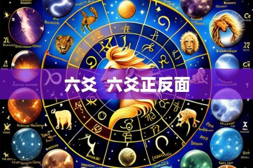 六爻 六爻正反面