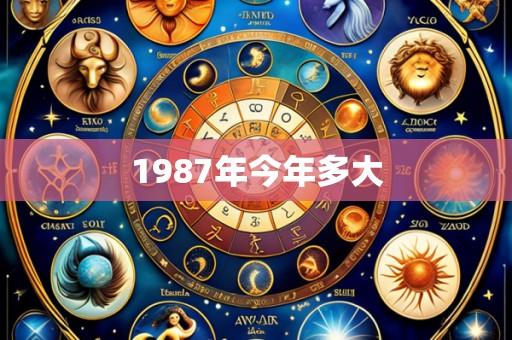 1987年今年多大