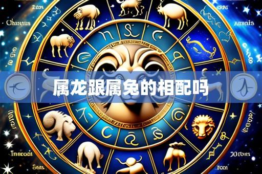 属龙跟属兔的相配吗