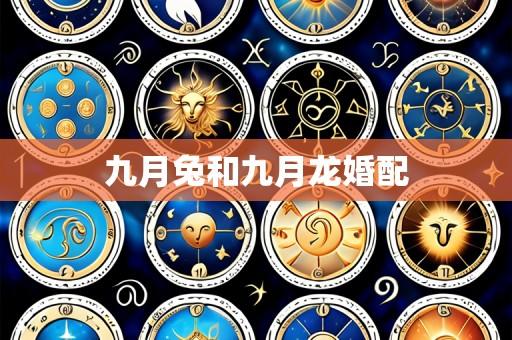 九月兔和九月龙婚配