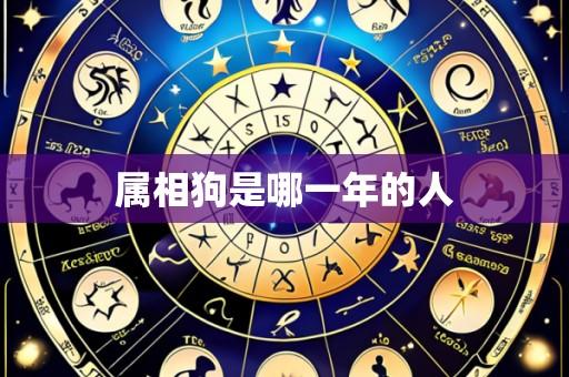 属相狗是哪一年的人