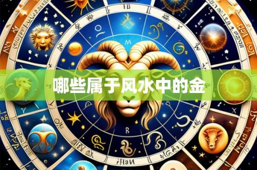 哪些属于风水中的金