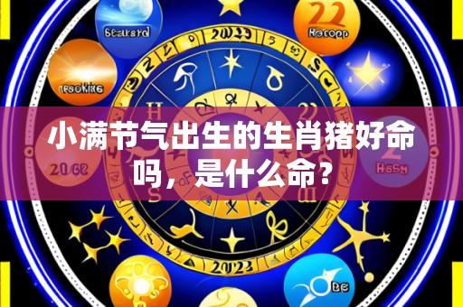 小满节气出生的生肖猪好命吗，是什么命？