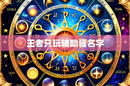 王者只玩辅助骚名字