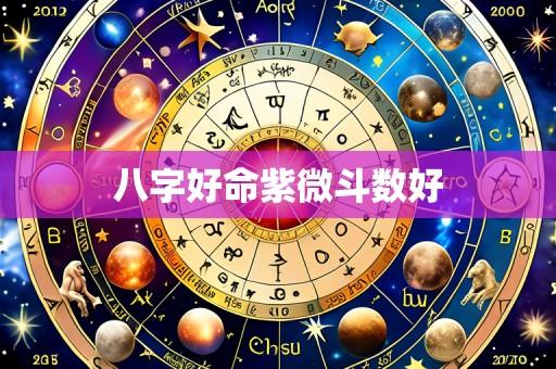 八字好命紫微斗数好