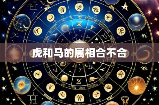 虎和马的属相合不合