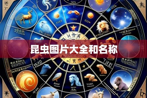 昆虫图片大全和名称