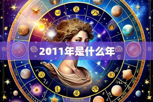 2011年是什么年