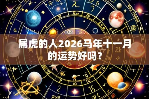 属虎的人2026马年十一月的运势好吗？