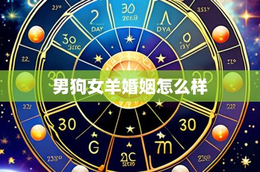 男狗女羊婚姻怎么样