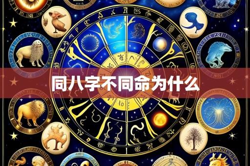 同八字不同命为什么