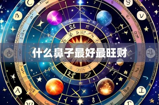 什么鼻子最好最旺财