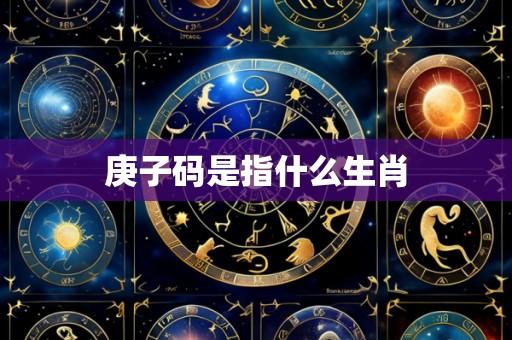 庚子码是指什么生肖