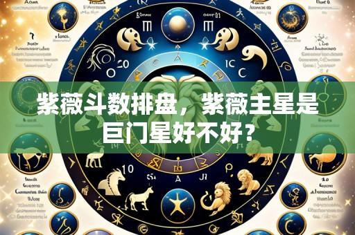 紫薇斗数排盘,紫薇主星是巨门星好不好?